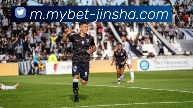 金沙国际平台生态图